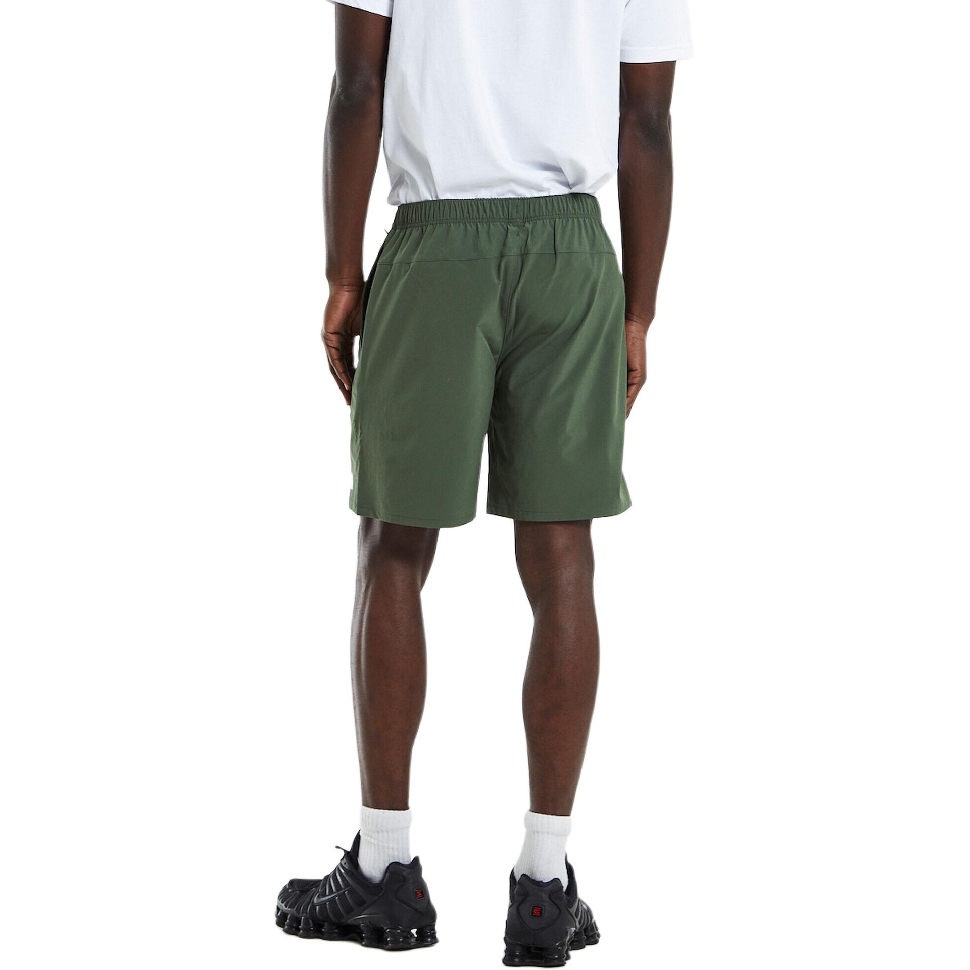 The North Face Wander Shorts Thyme Green logo — фото 1