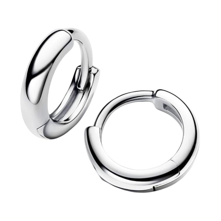 Pandora Earrings Silver