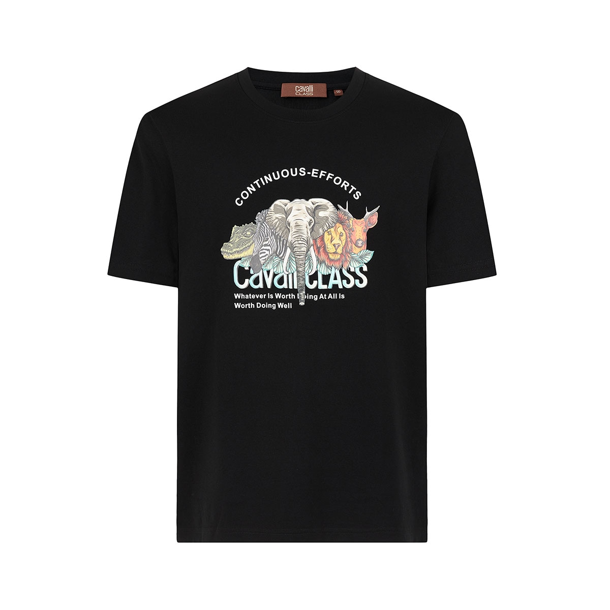 Cavalli Class T