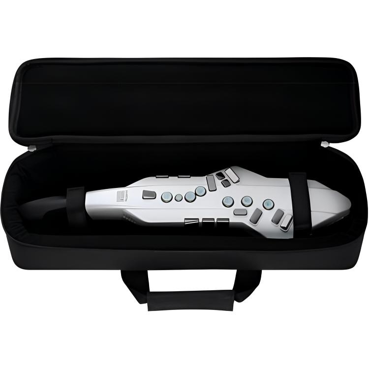 Roland AE05C" Aerophone