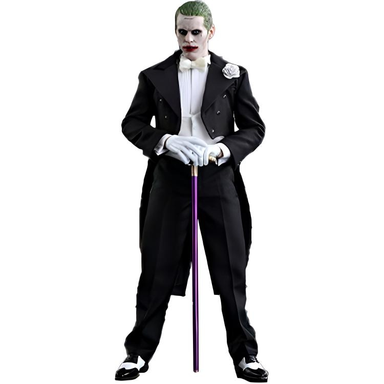 Hot Toys x 16 mms395 29.5cm