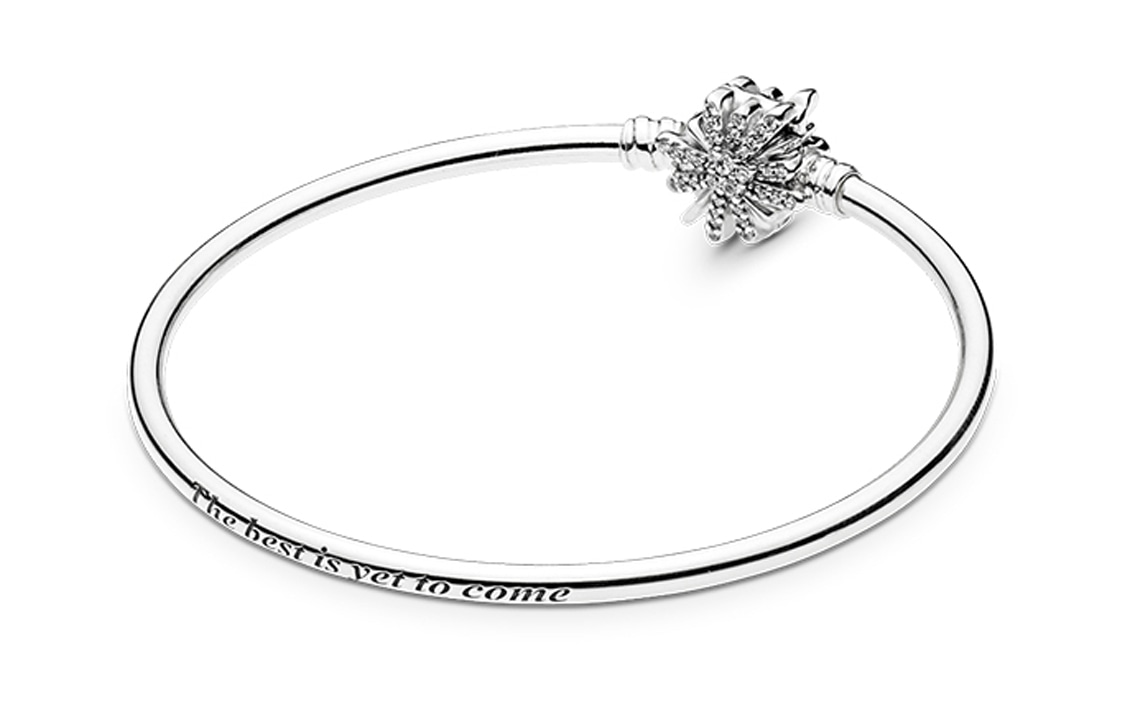 Pandora Bracelet — фото 1