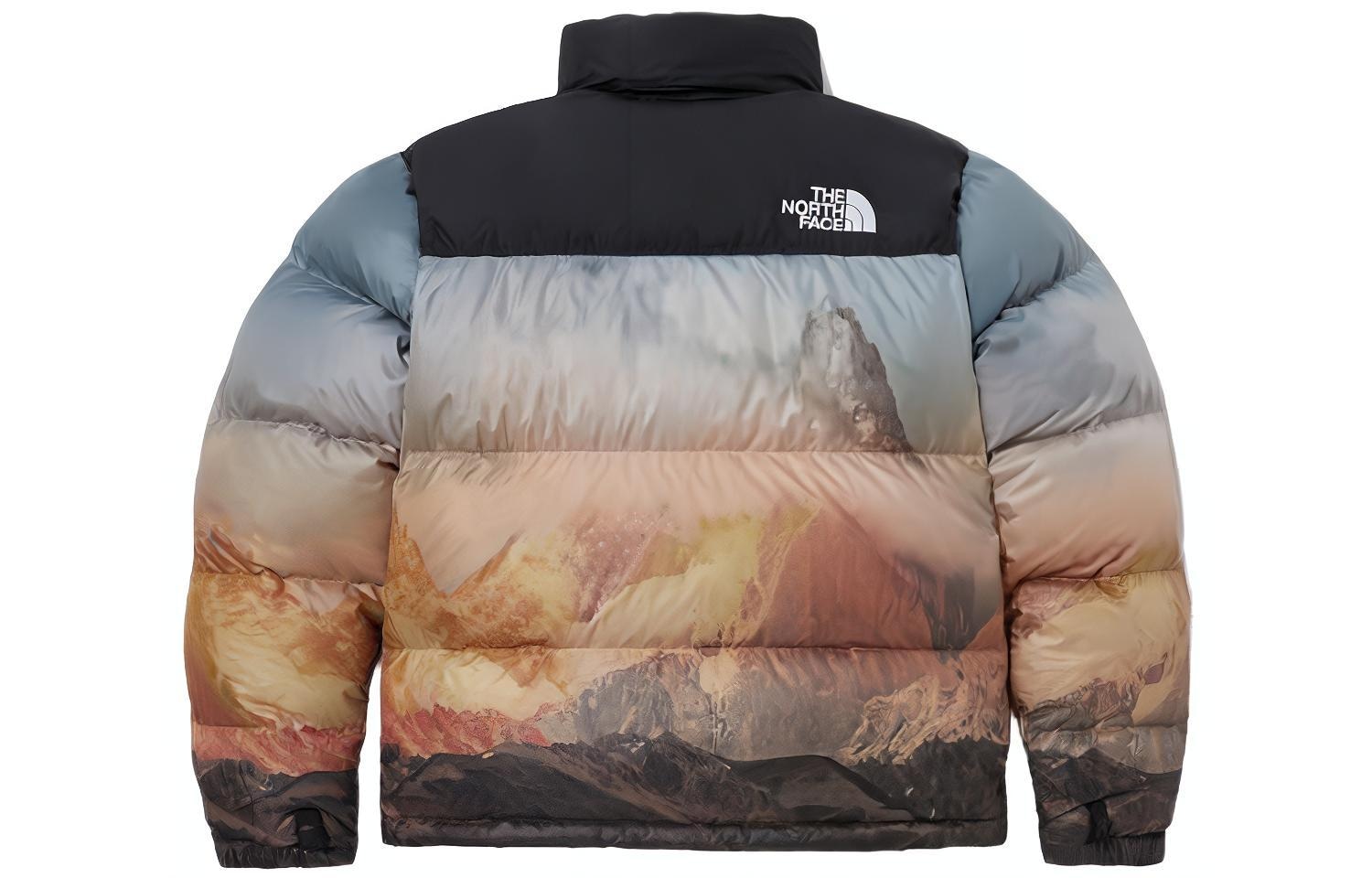 The North Face M's 1996 Novelty Nuptse Jacket — фото 1