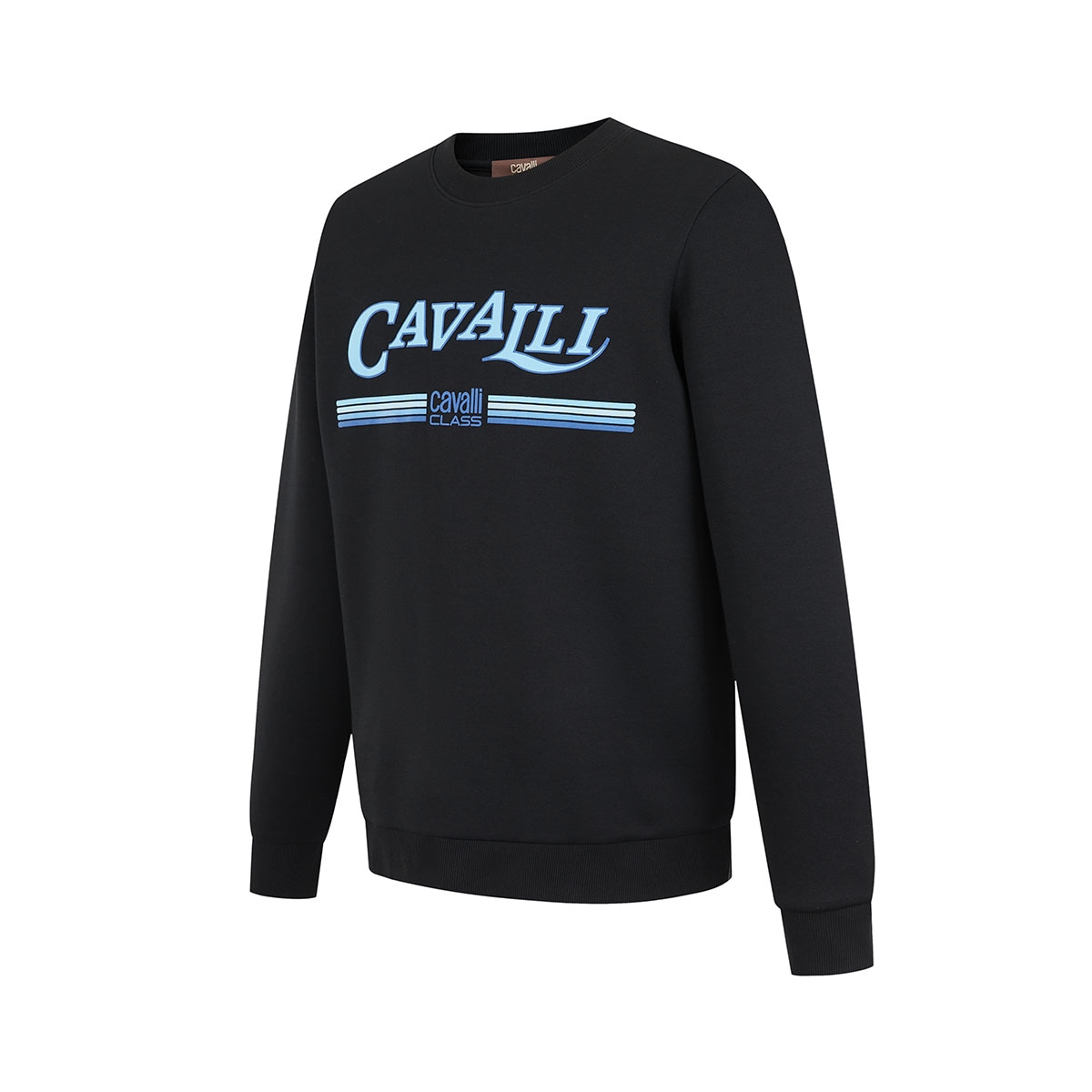 Cavalli Class logo — фото 1