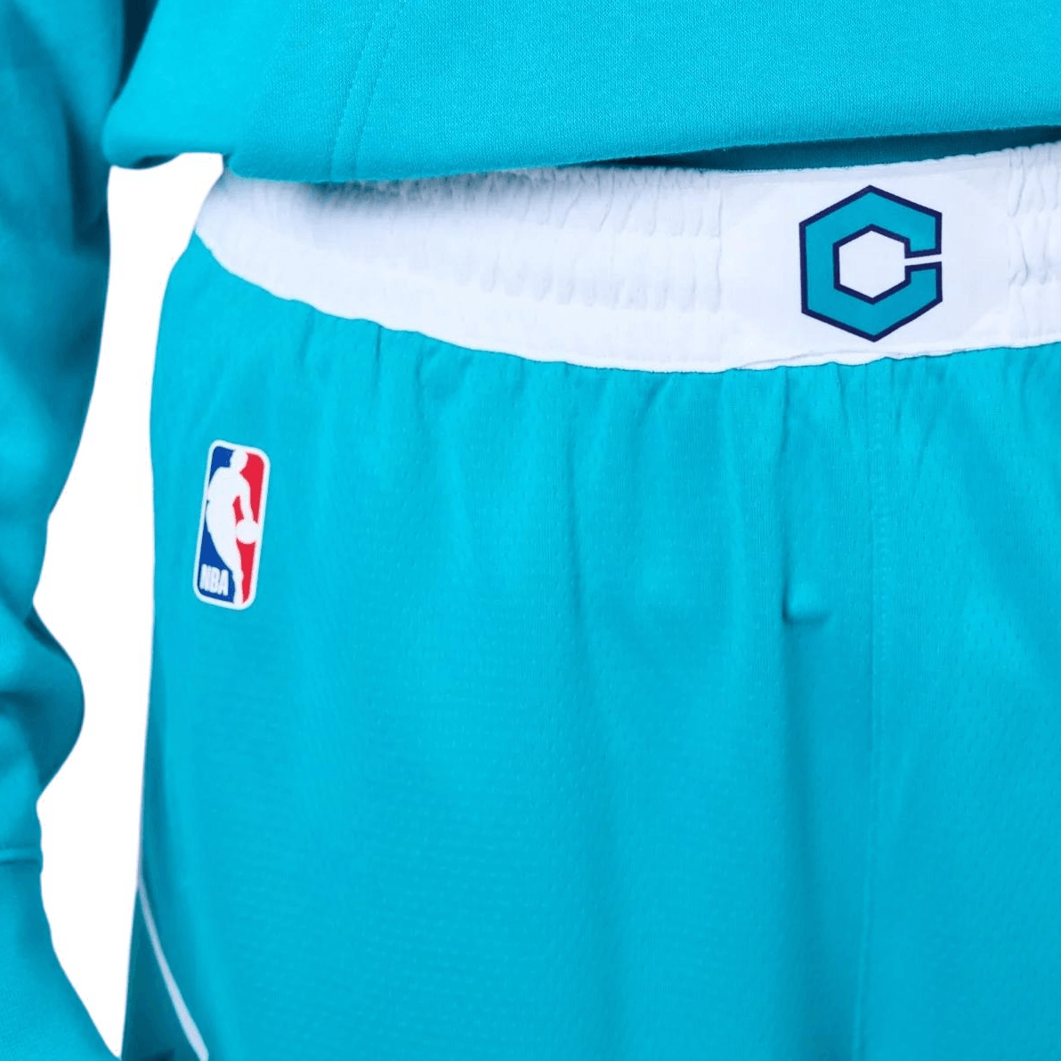 Jordan NBA Charlotte Hornets Shorts — фото 4