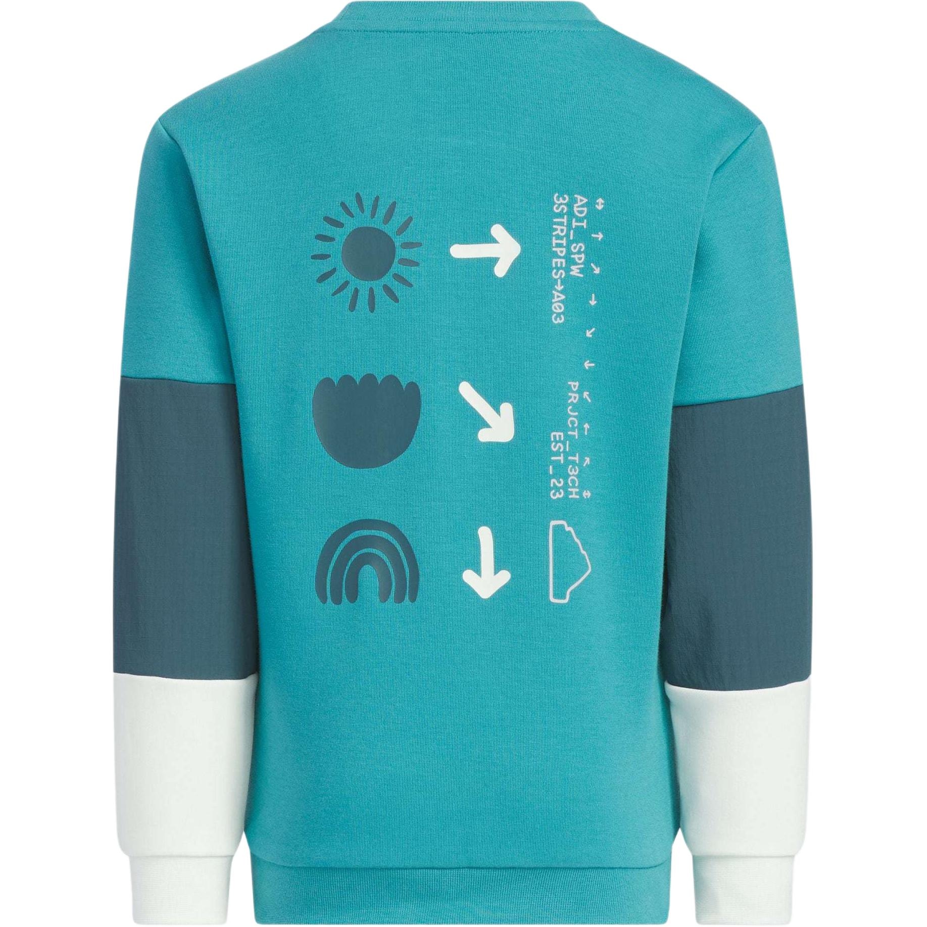 Adidas OUTDOOR SWEATSHIRT — фото 1