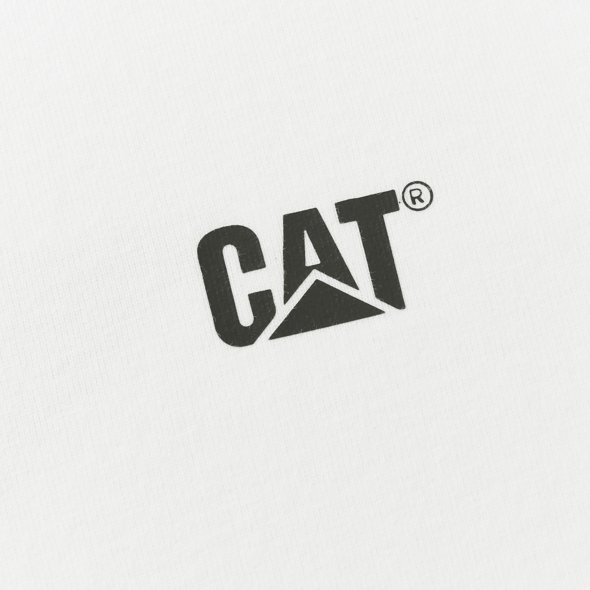 Cat T — фото 5