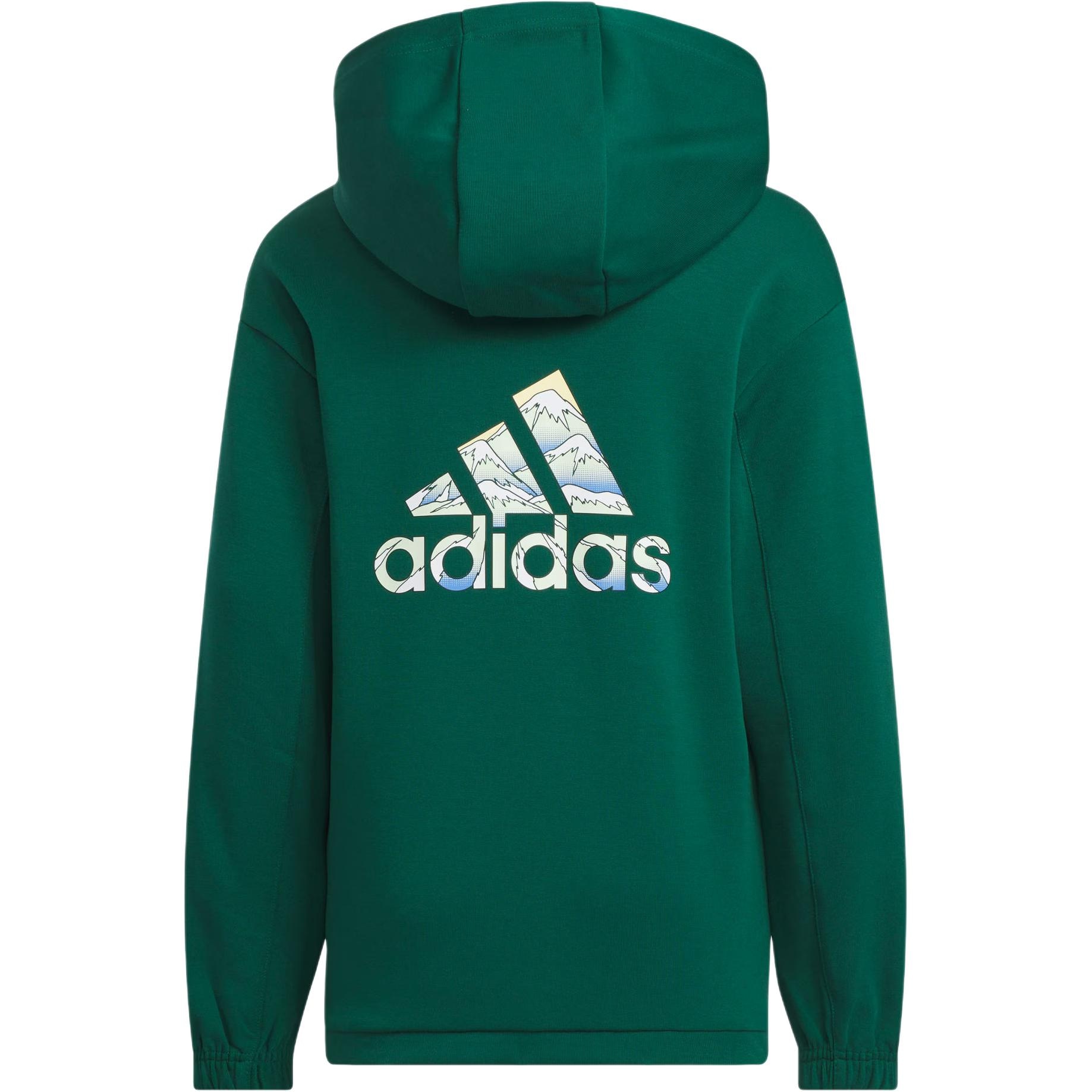 Adidas CITY ESCAPE FW24 GRAPHIC CREW SWEATER — фото 1