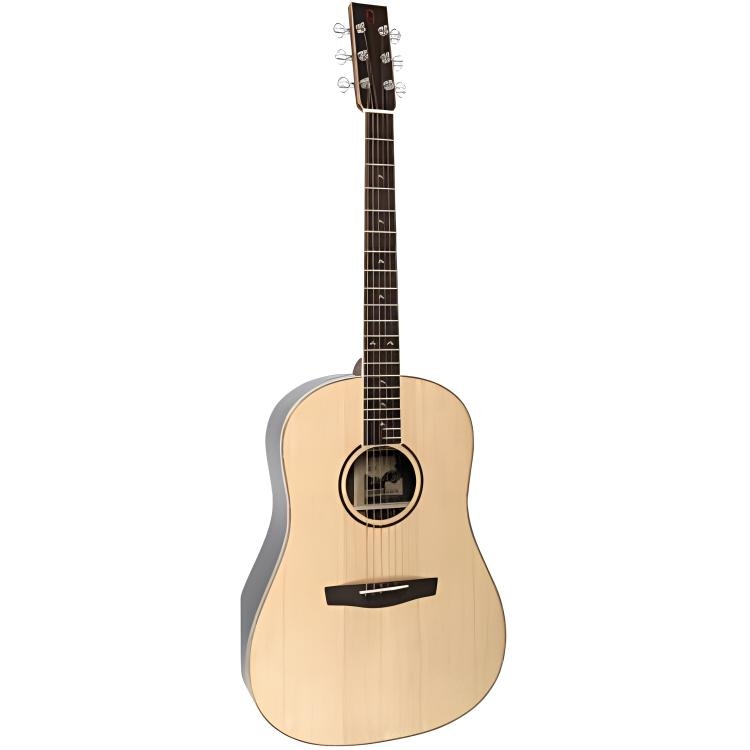 李吉他 LEE GUITARS LEE GUITARS () (DJ3SR) Fishman
