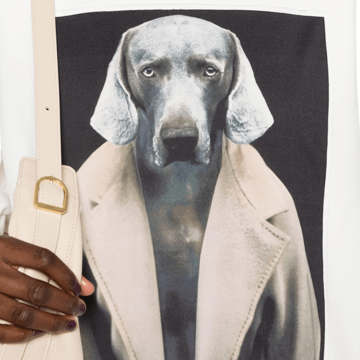 MaxMara x William Wegman Bacco Sweatshirt — фото 4