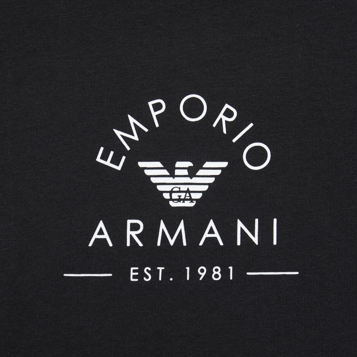 Emporio Armani SS24 Logo T — фото 6