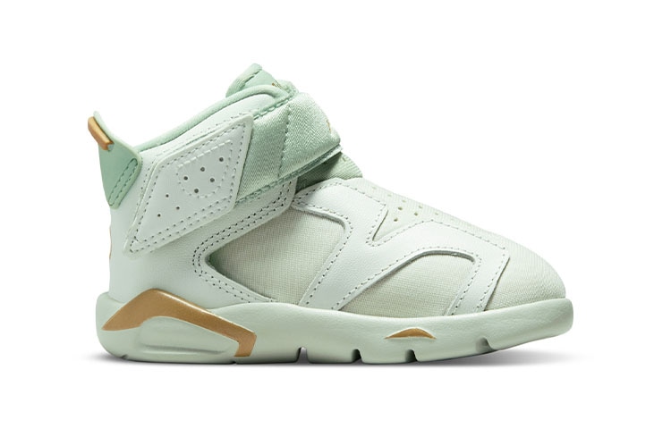 Jordan Air Jordan 6 LTL Flex GC — фото 9