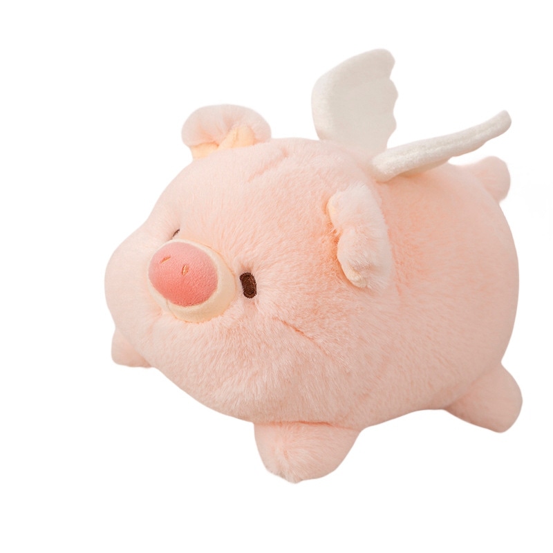 abay 20cm30cm