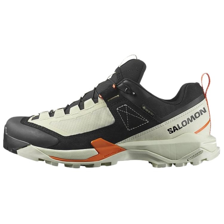 Salomon X Ultra Alpine GTX — фото 4