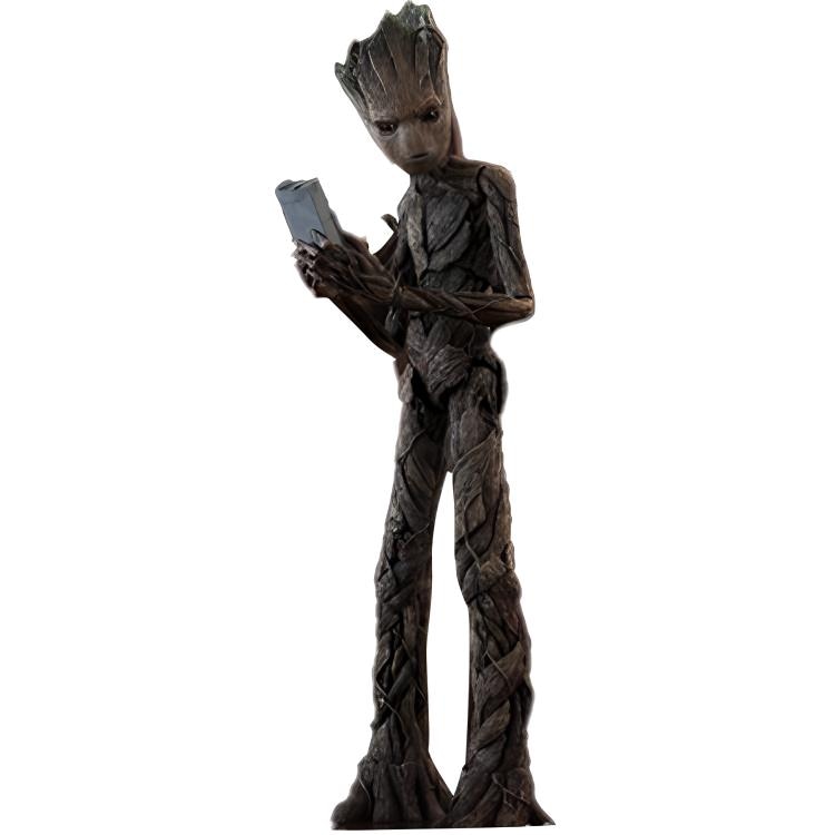Hot Toys 3 16 29.5cm