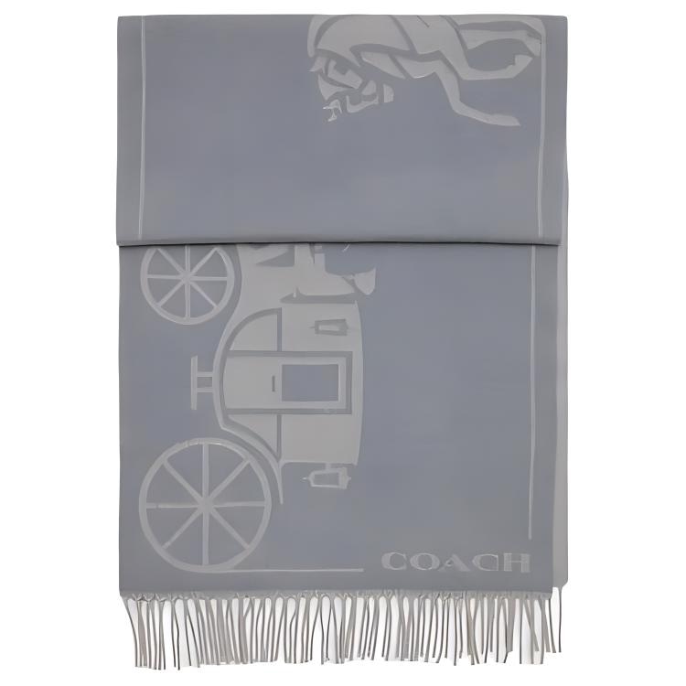 COACH Scarf