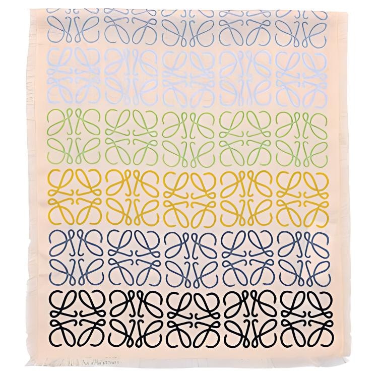 LOEWE Scarf