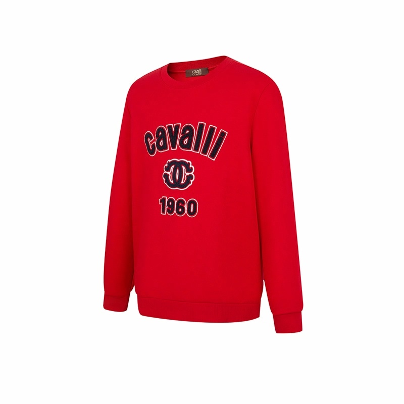 Cavalli Class logo — фото 1