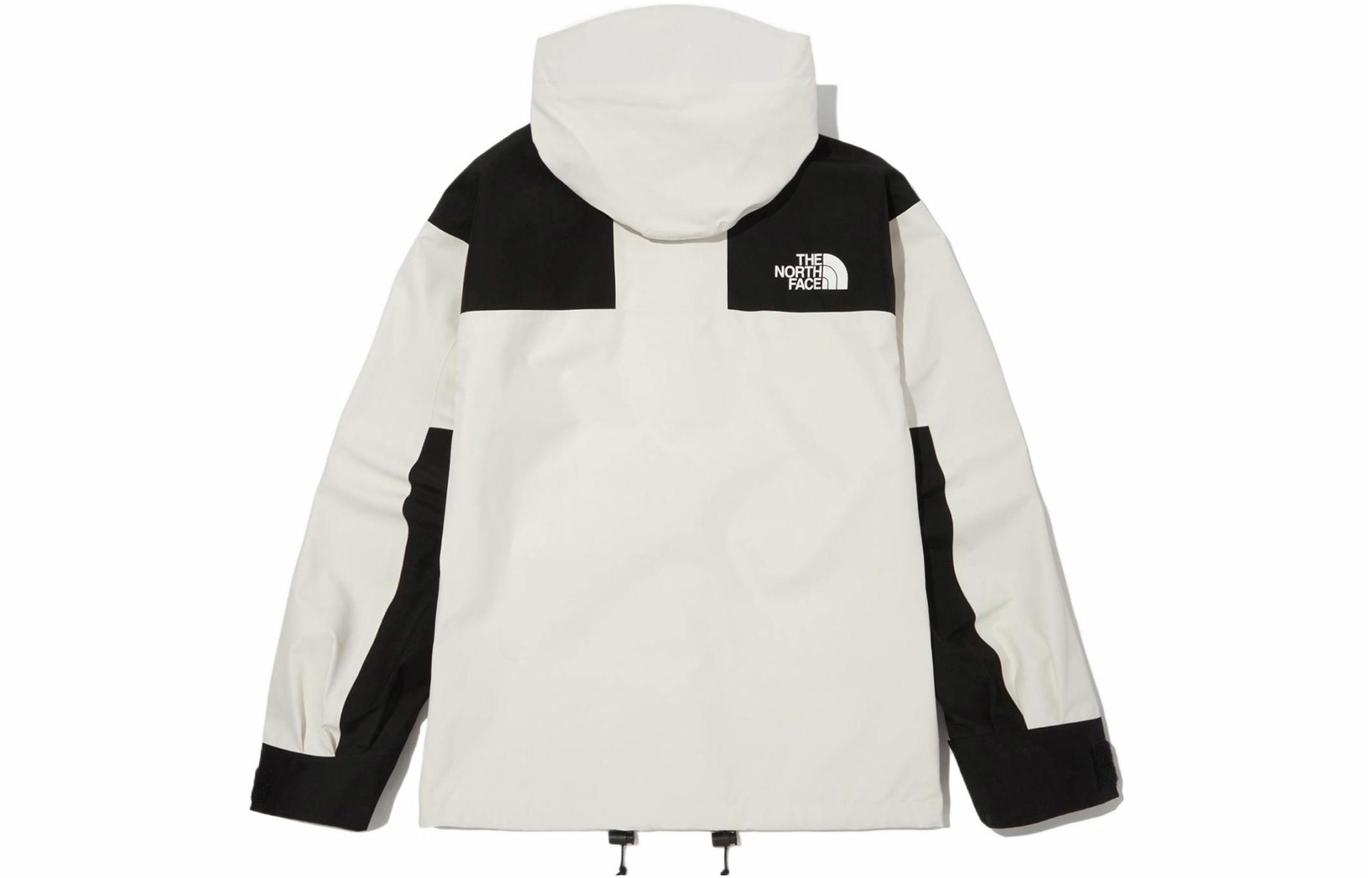 The North Face Retro 1986 Futurelight Mountain Jacket — фото 1