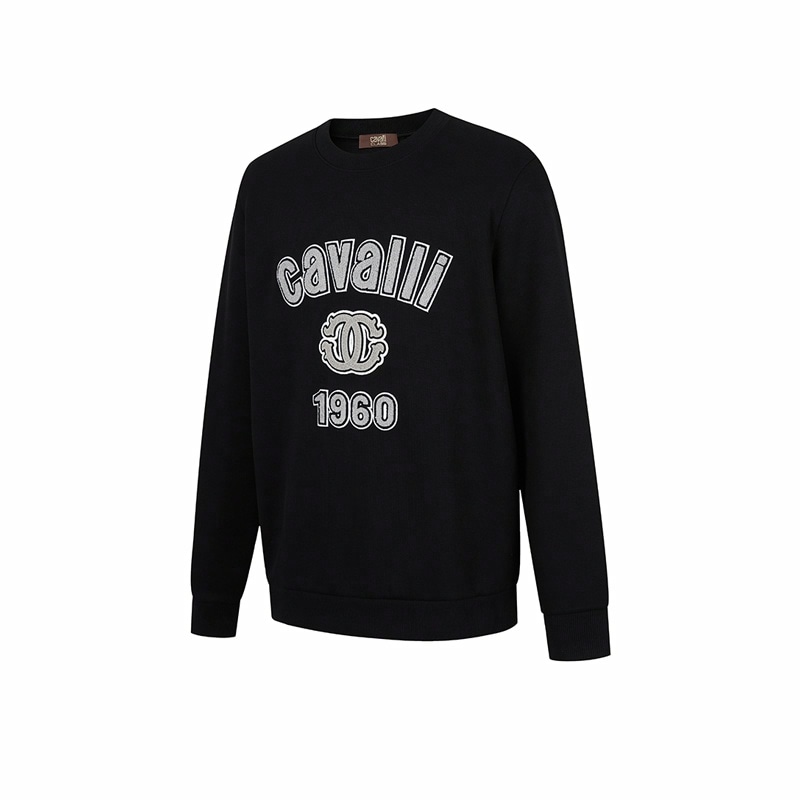 Cavalli Class logo — фото 5