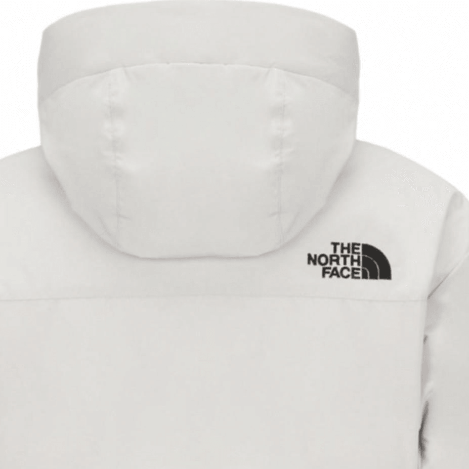 The North Face Never Stop MS Polar Air RDS Hoodie White — фото 3
