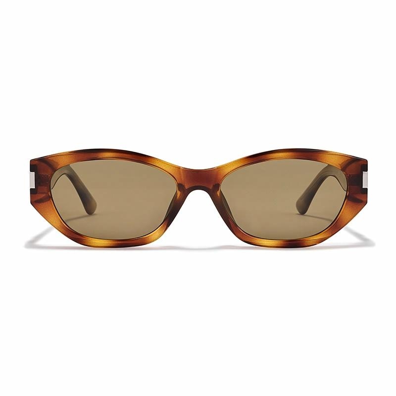 佐川 Sagawa Sunglasses