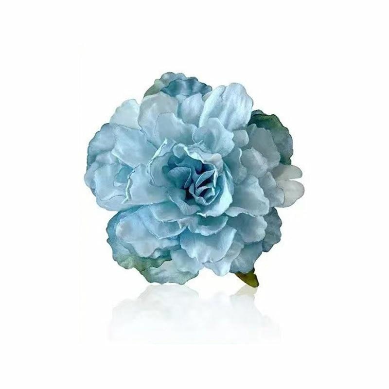 IOTS Hair Clip