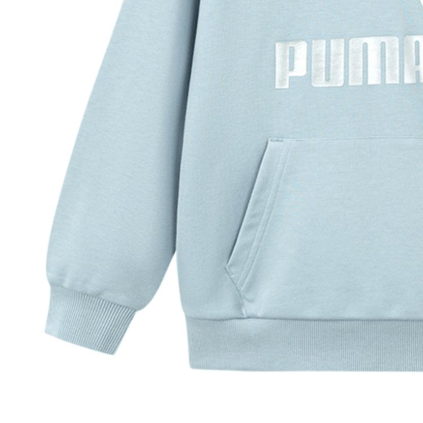 Puma SportstyleCLASSICS BIG LOGO HOODIE — фото 2