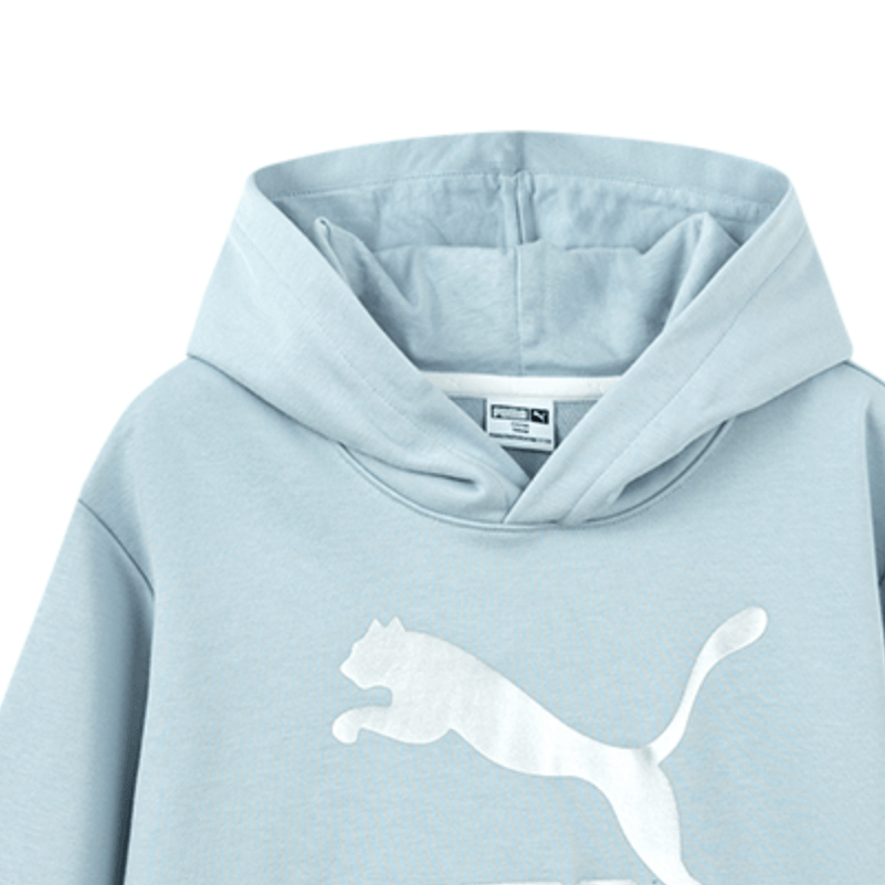 Puma SportstyleCLASSICS BIG LOGO HOODIE — фото 4
