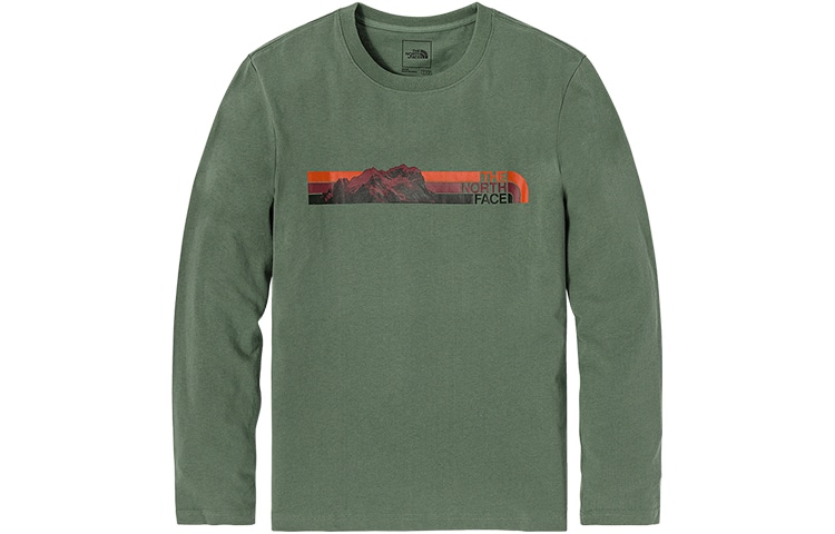 Футболка The North Face LogoT