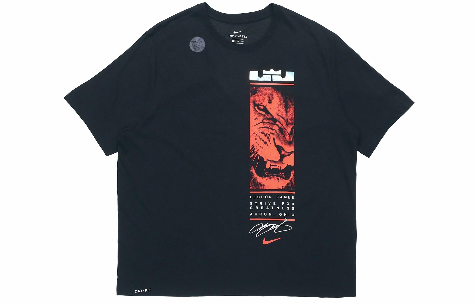 Футболка Nike DRI-FIT LeBron T