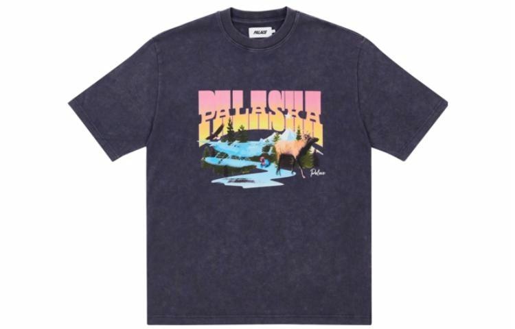 PALACE SS22 Palaska Dye T-shirt Purple T