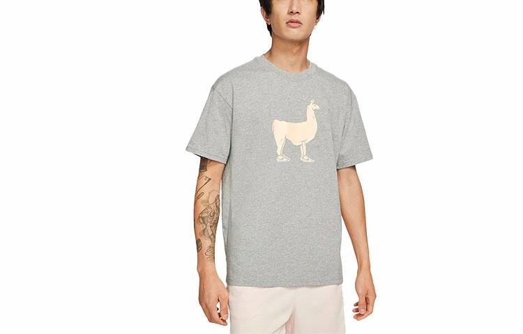Футболка Nike SB T