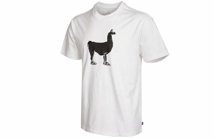 Футболка Nike SB T
