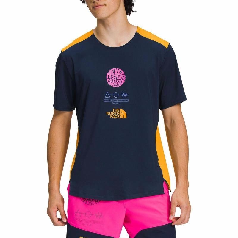 Футболка The North Face LogoT