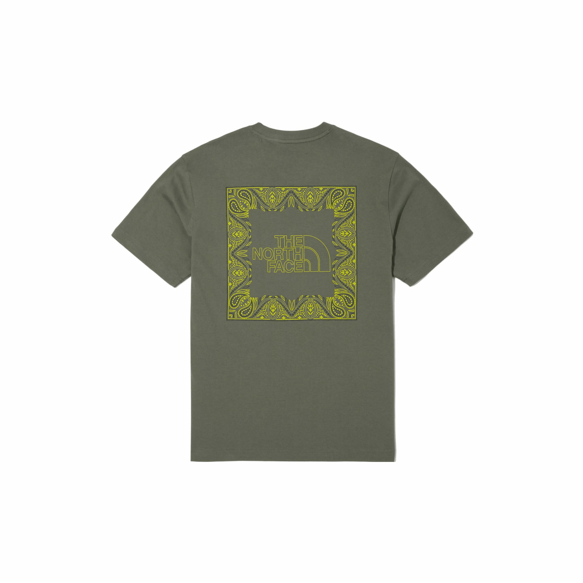 Футболка The North Face T