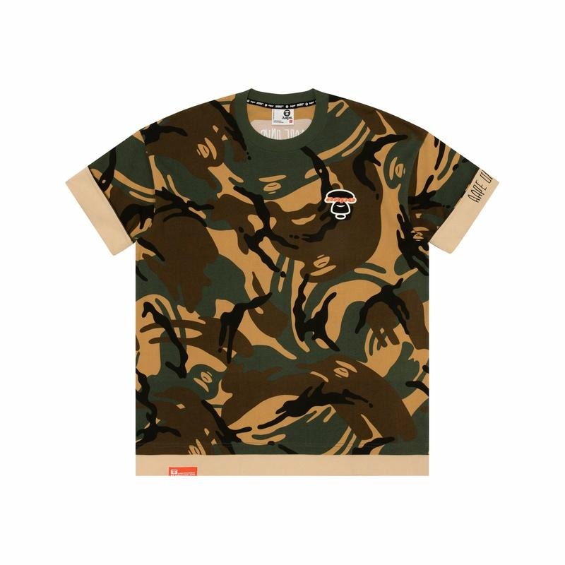 Aape T