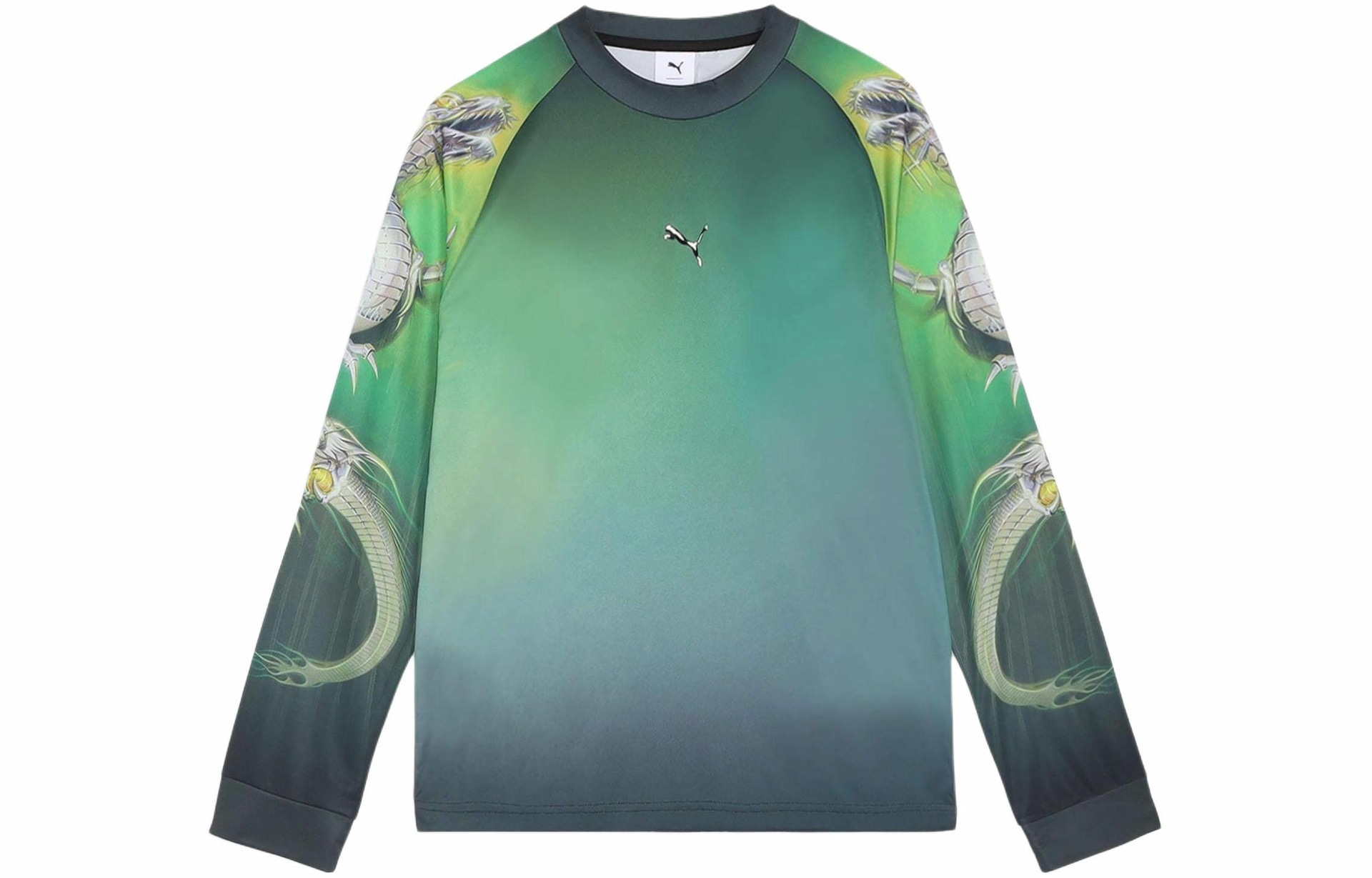 Футболка Puma SS24 Dragon Graphic Long Sleeve Tee Black