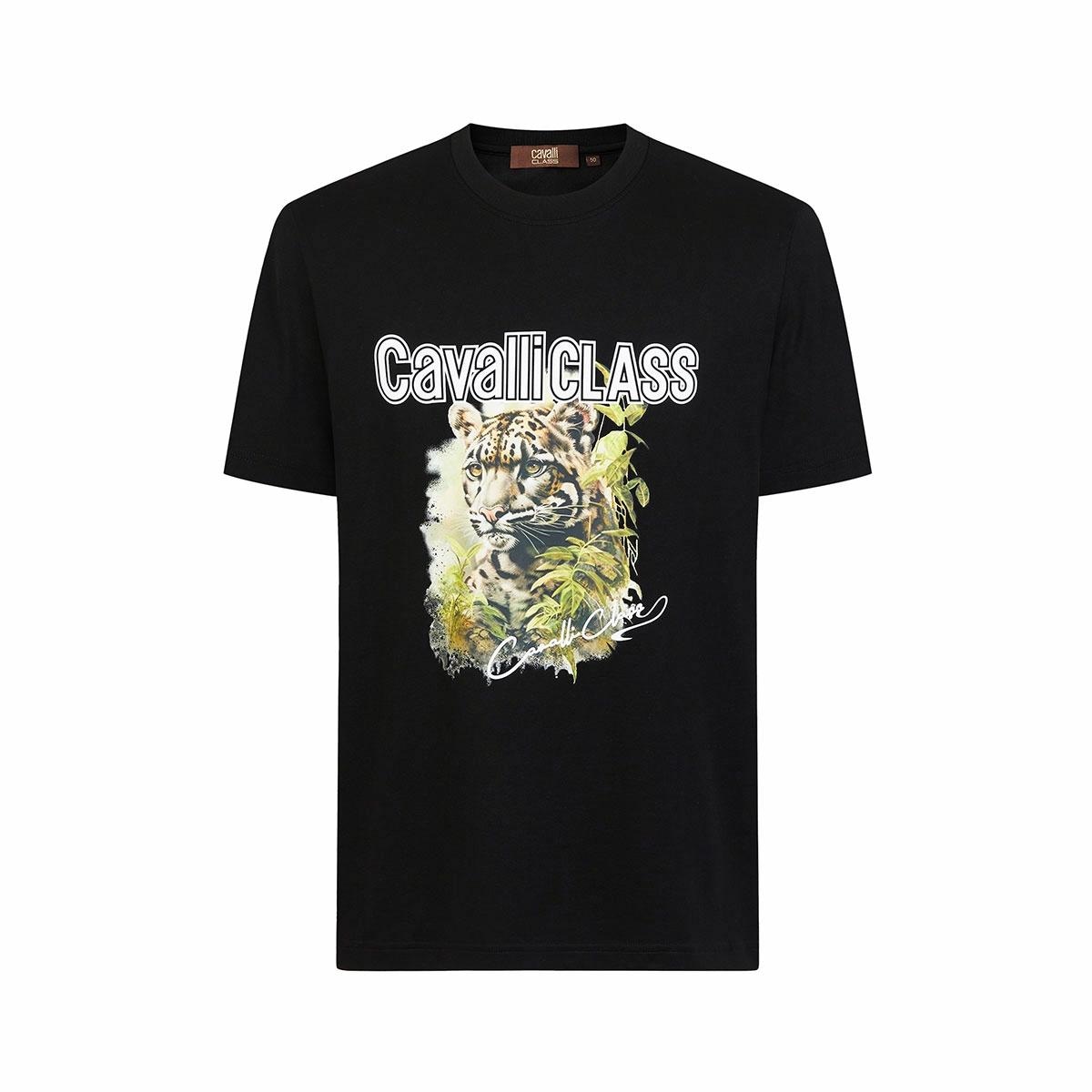 Cavalli Class T