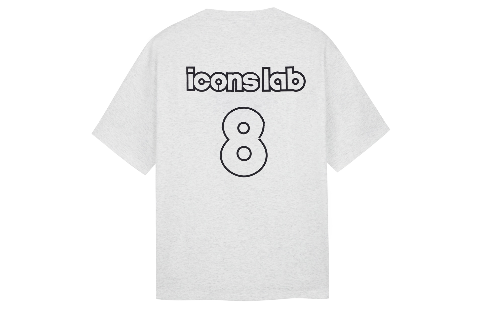 ICONS Lab 8T