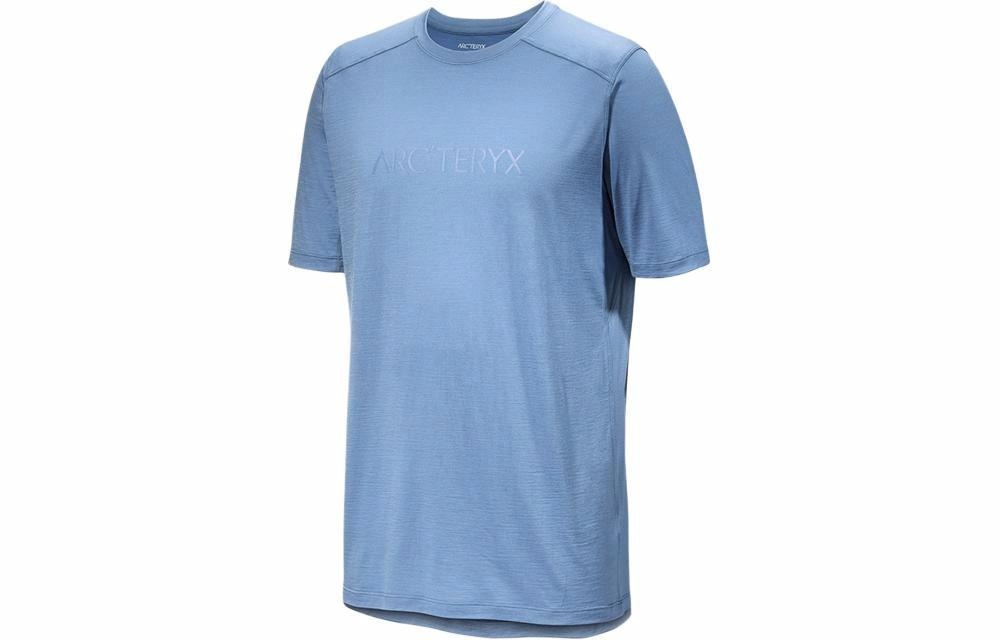 Arcteryx Ionia Merino Wool Arc'word Logo SS T — фото 2