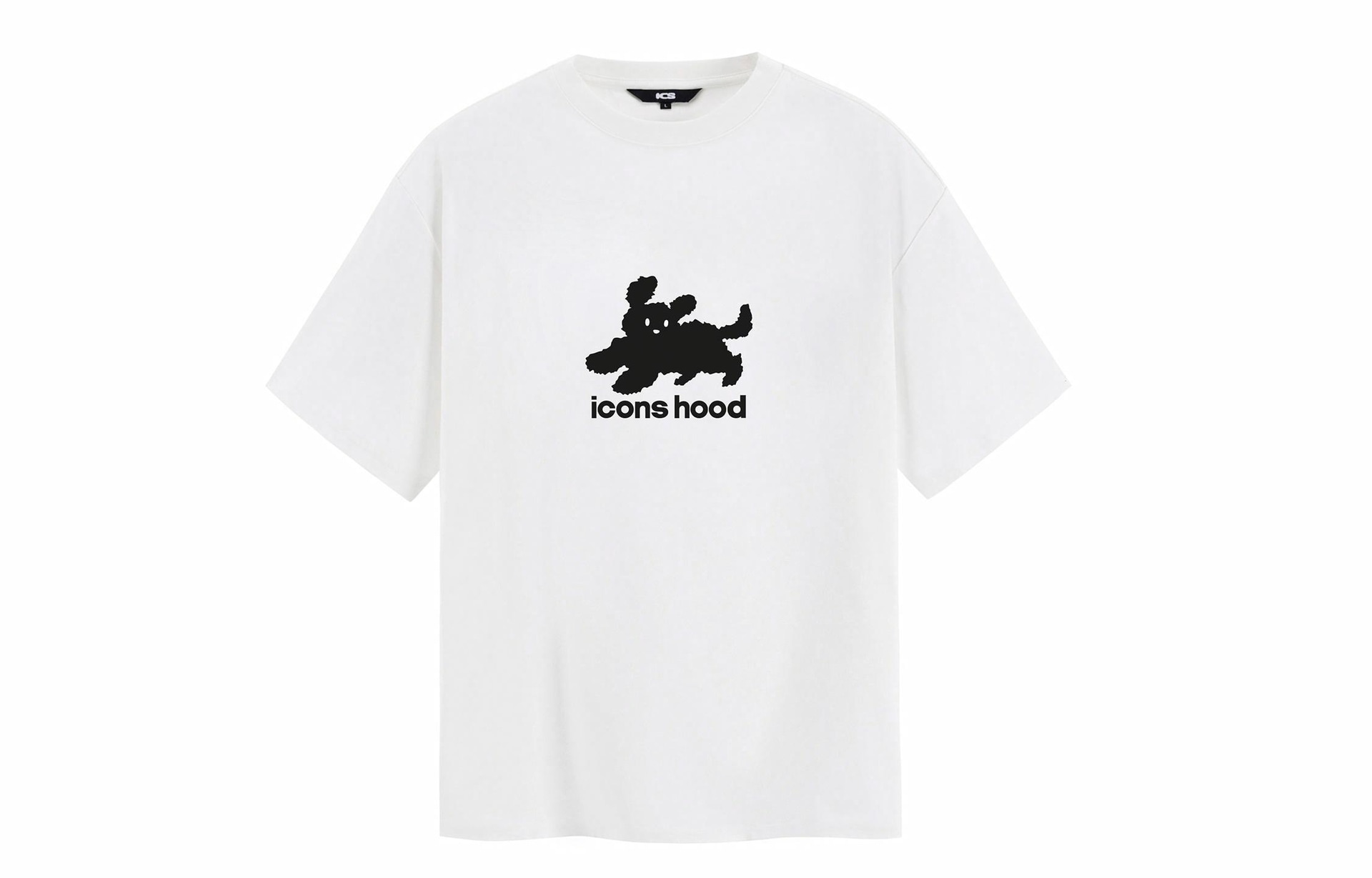 ICONS Lab T