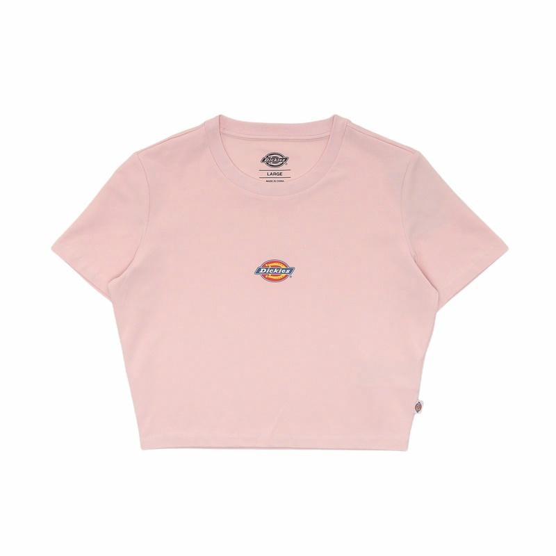Dickies T DK012314B80