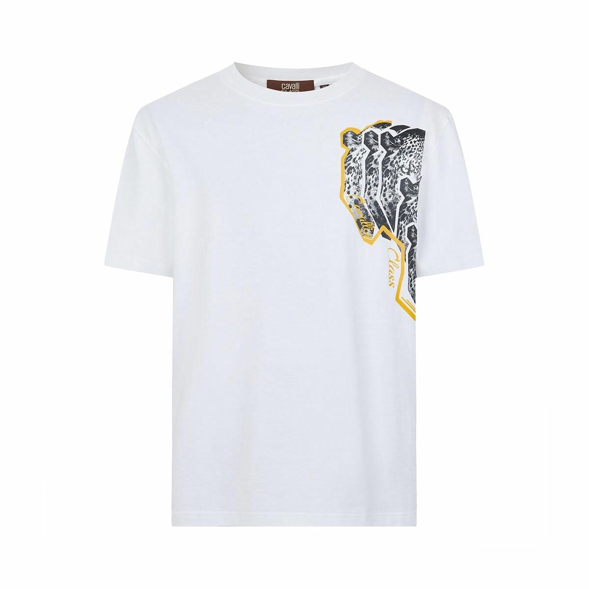 Cavalli Class T