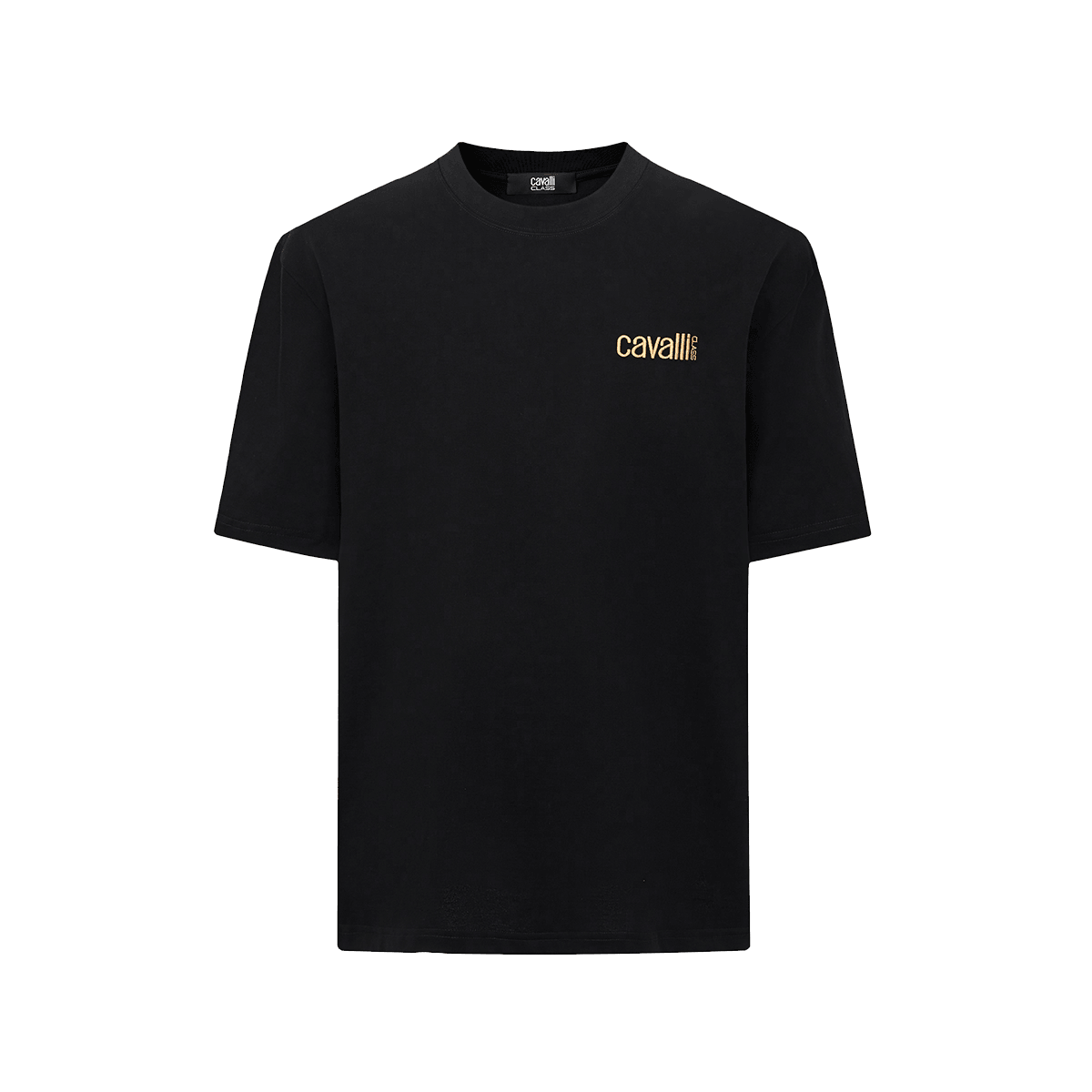 Cavalli Class T