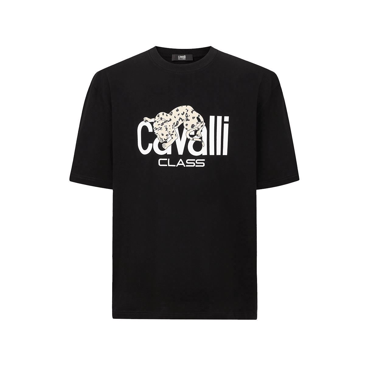 Cavalli Class T