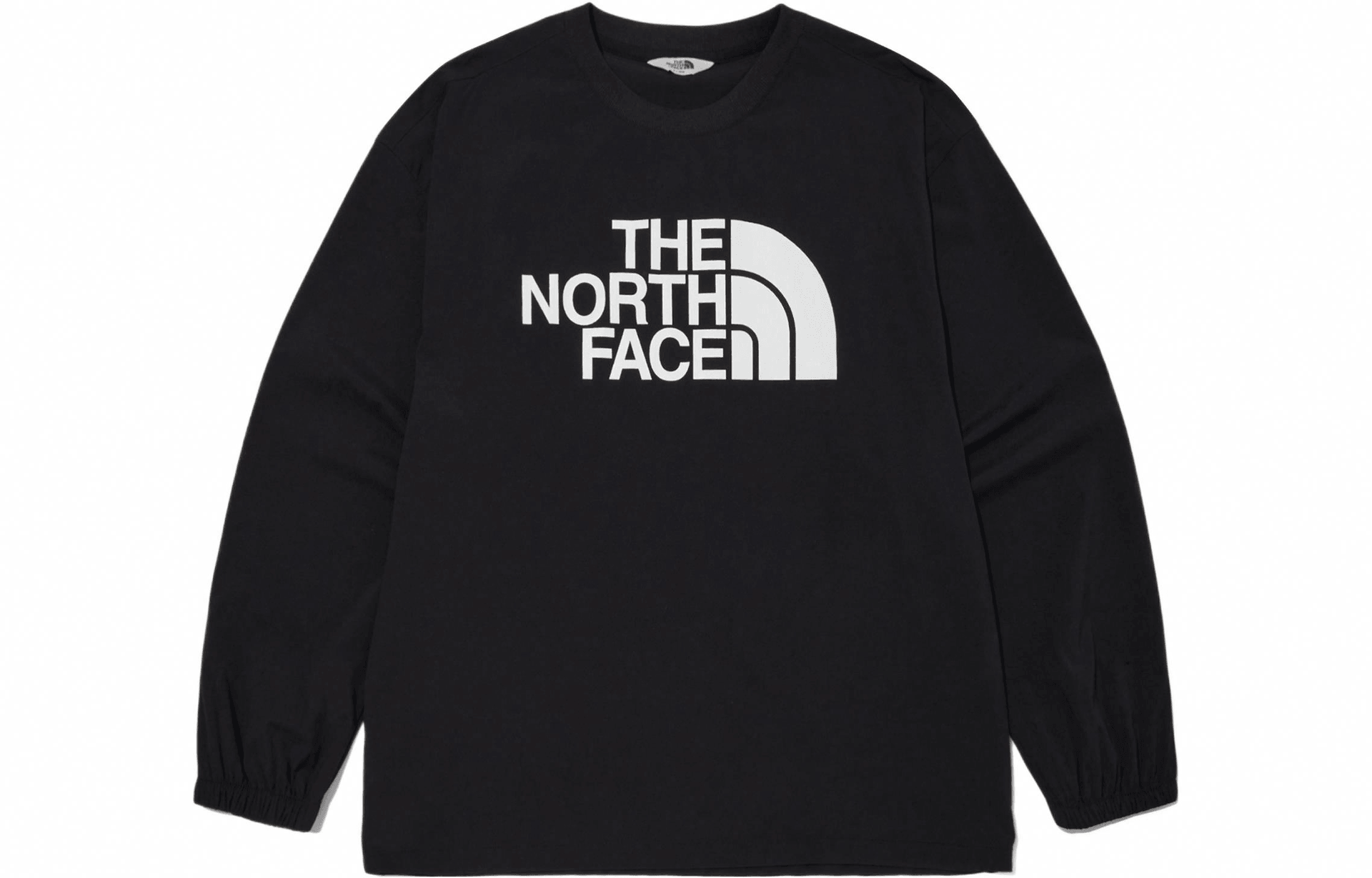 Худи The North Face Logo