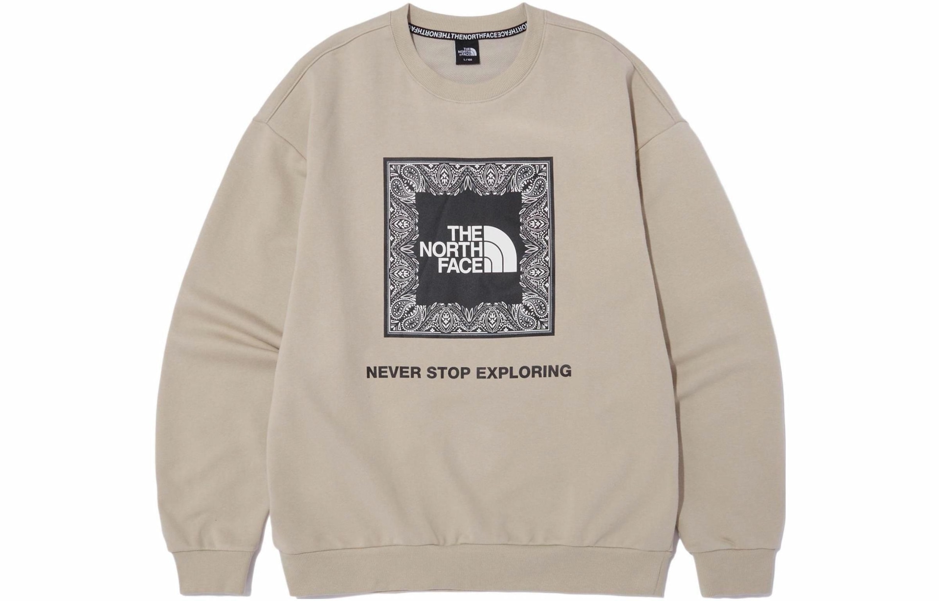 Худи The North Face