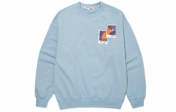 Худи The North Face Boma Sweatshirts