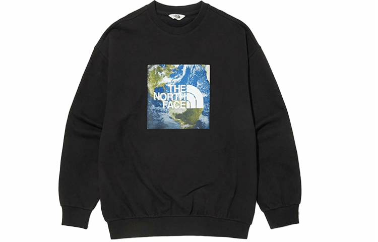 Худи The North Face Think Earth Sweatshirts Logo